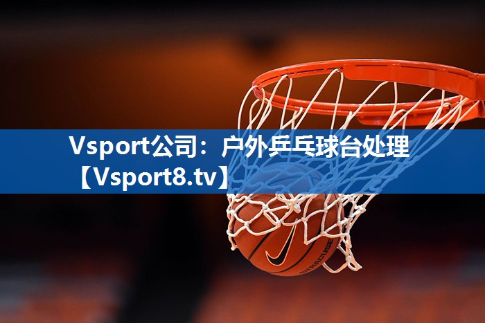 Vsport公司：户外乒乓球台处理