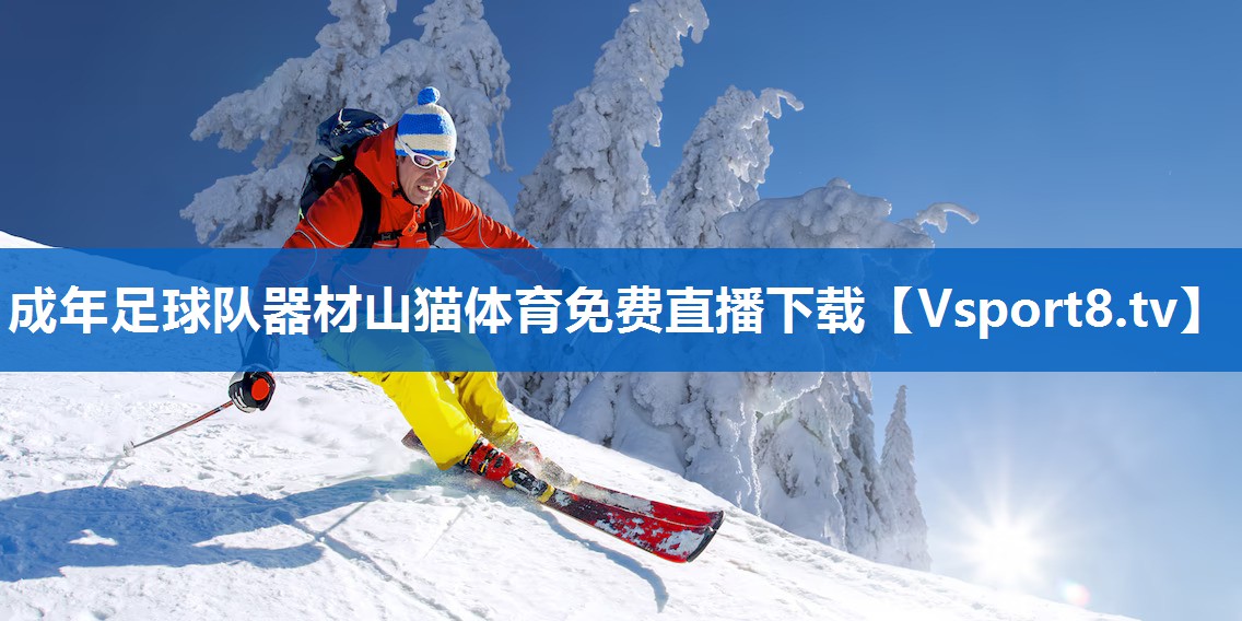 成年足球队器材山猫体育免费直播下载