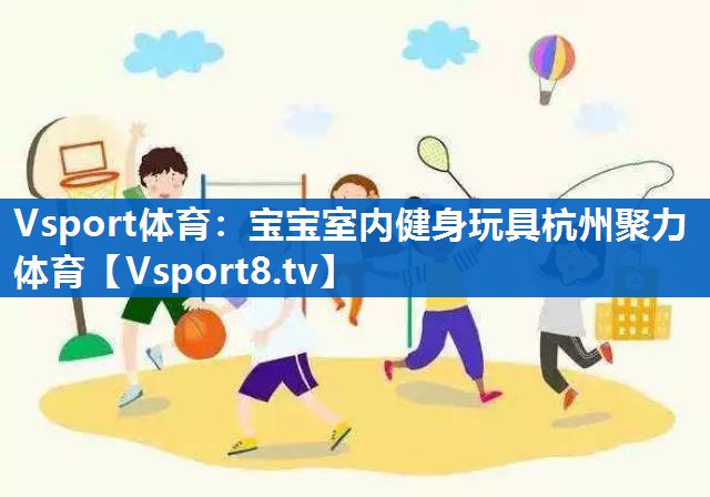 Vsport体育：宝宝室内健身玩具杭州聚力体育