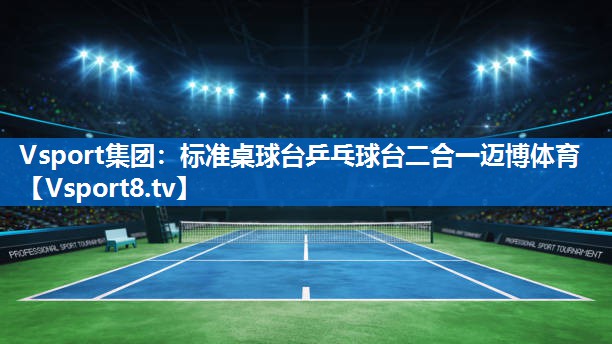 Vsport集团：标准桌球台乒乓球台二合一迈博体育