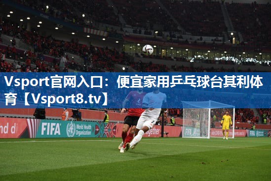 Vsport官网入口：便宜家用乒乓球台其利体育