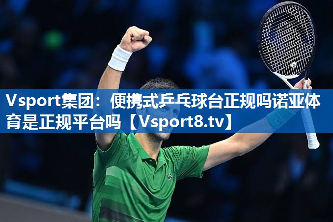 Vsport集团：便携式乒乓球台正规吗诺亚体育是正规平台吗