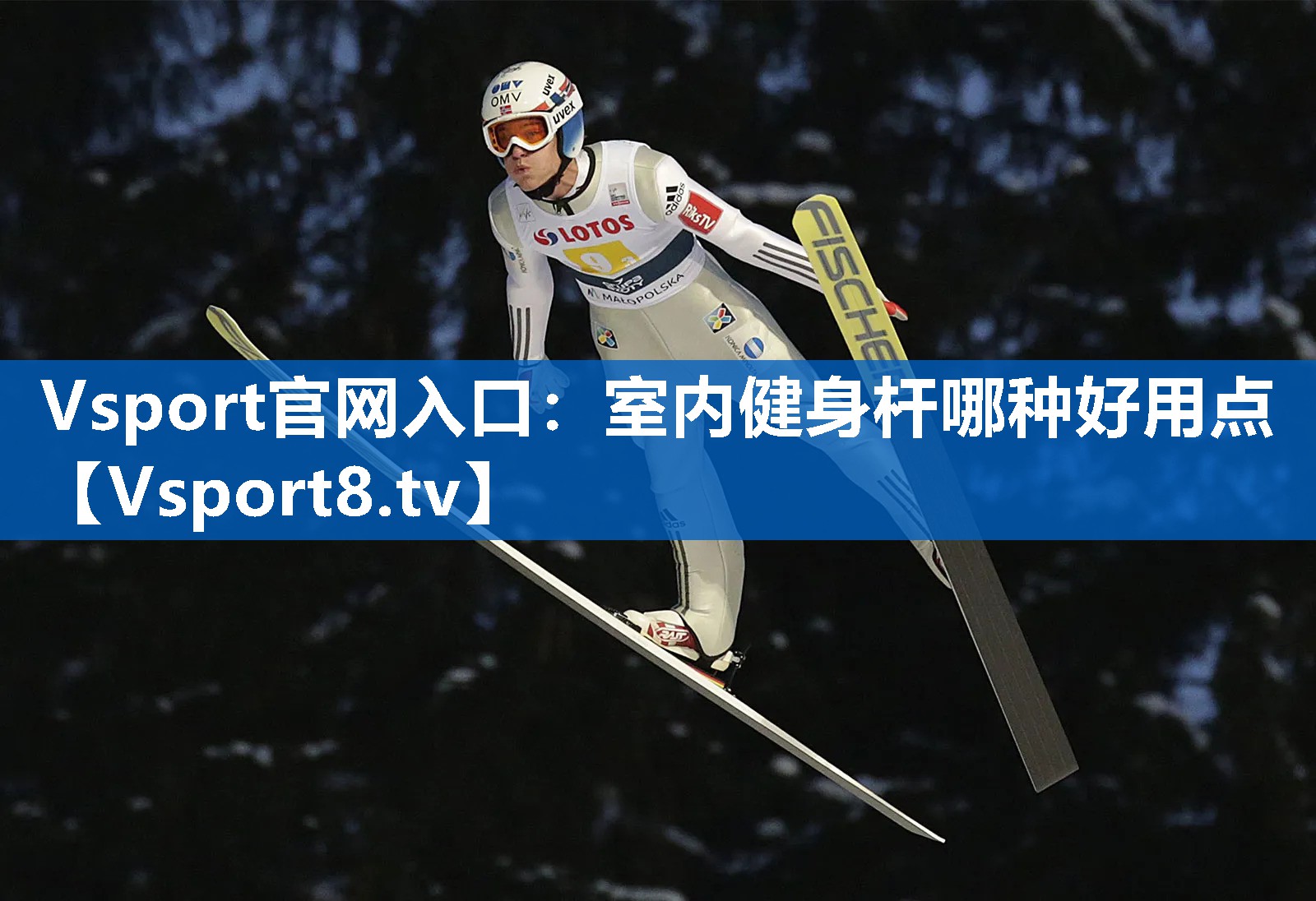 Vsport官网入口：室内健身杆哪种好用点