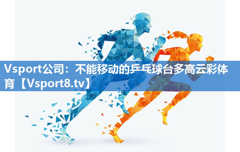 Vsport公司：不能移动的乒乓球台多高云彩体育