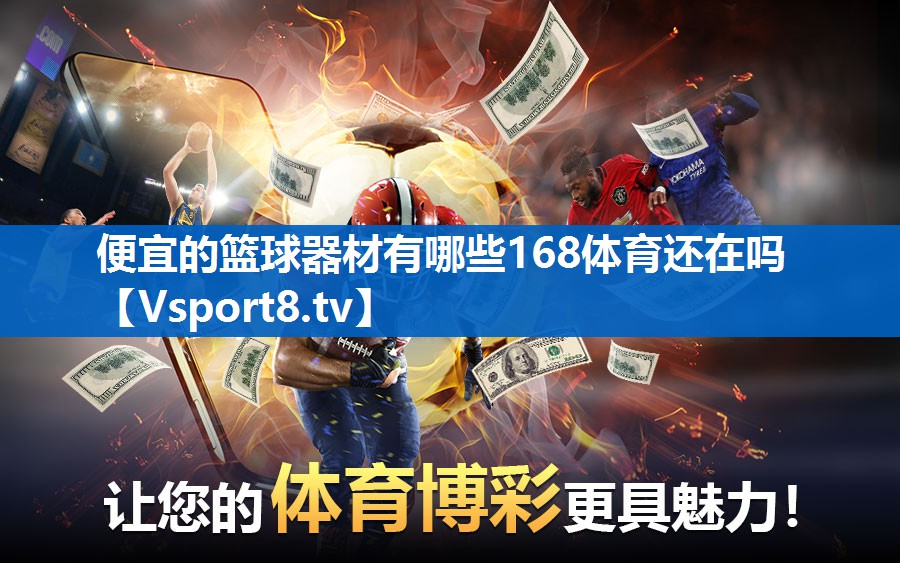 便宜的篮球器材有哪些168体育还在吗