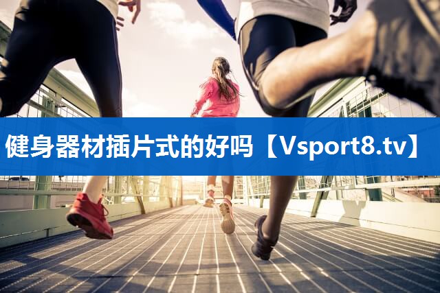 健身器材插片式的好吗
