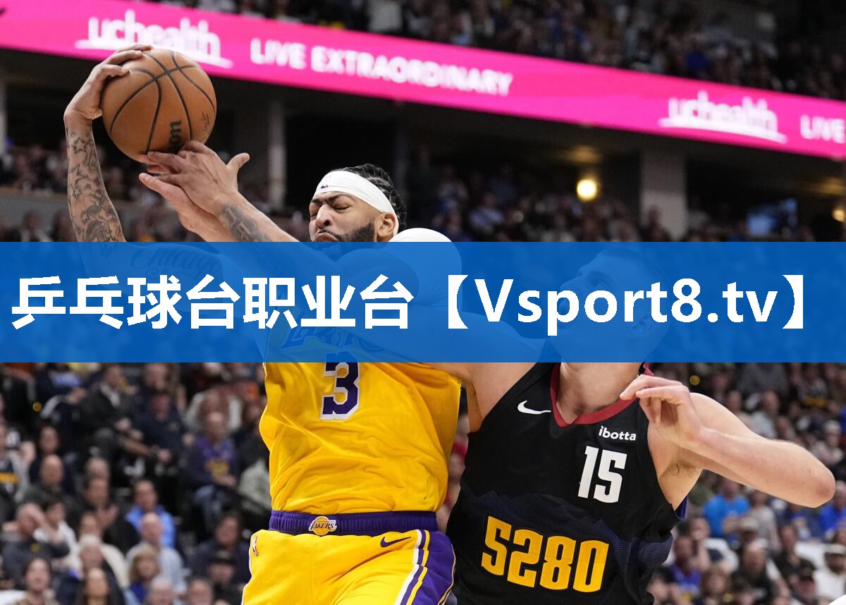 乒乓球台职业台