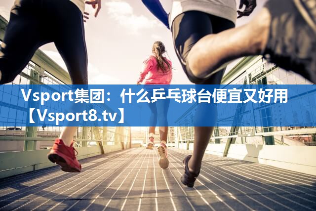 Vsport集团：什么乒乓球台便宜又好用