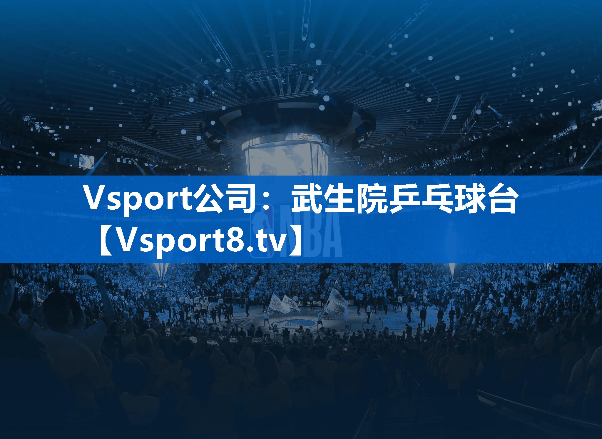 Vsport公司：武生院乒乓球台