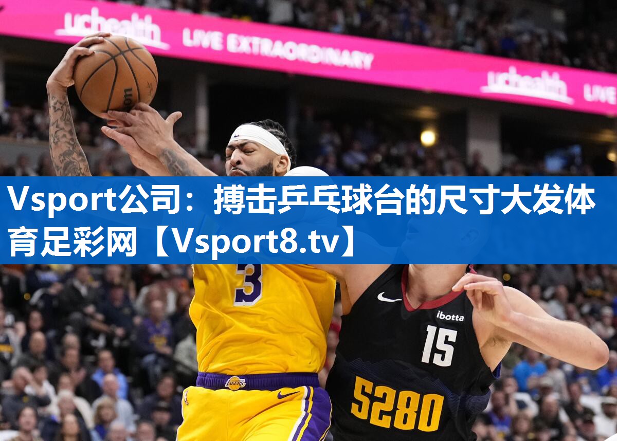 Vsport公司：搏击乒乓球台的尺寸大发体育足彩网