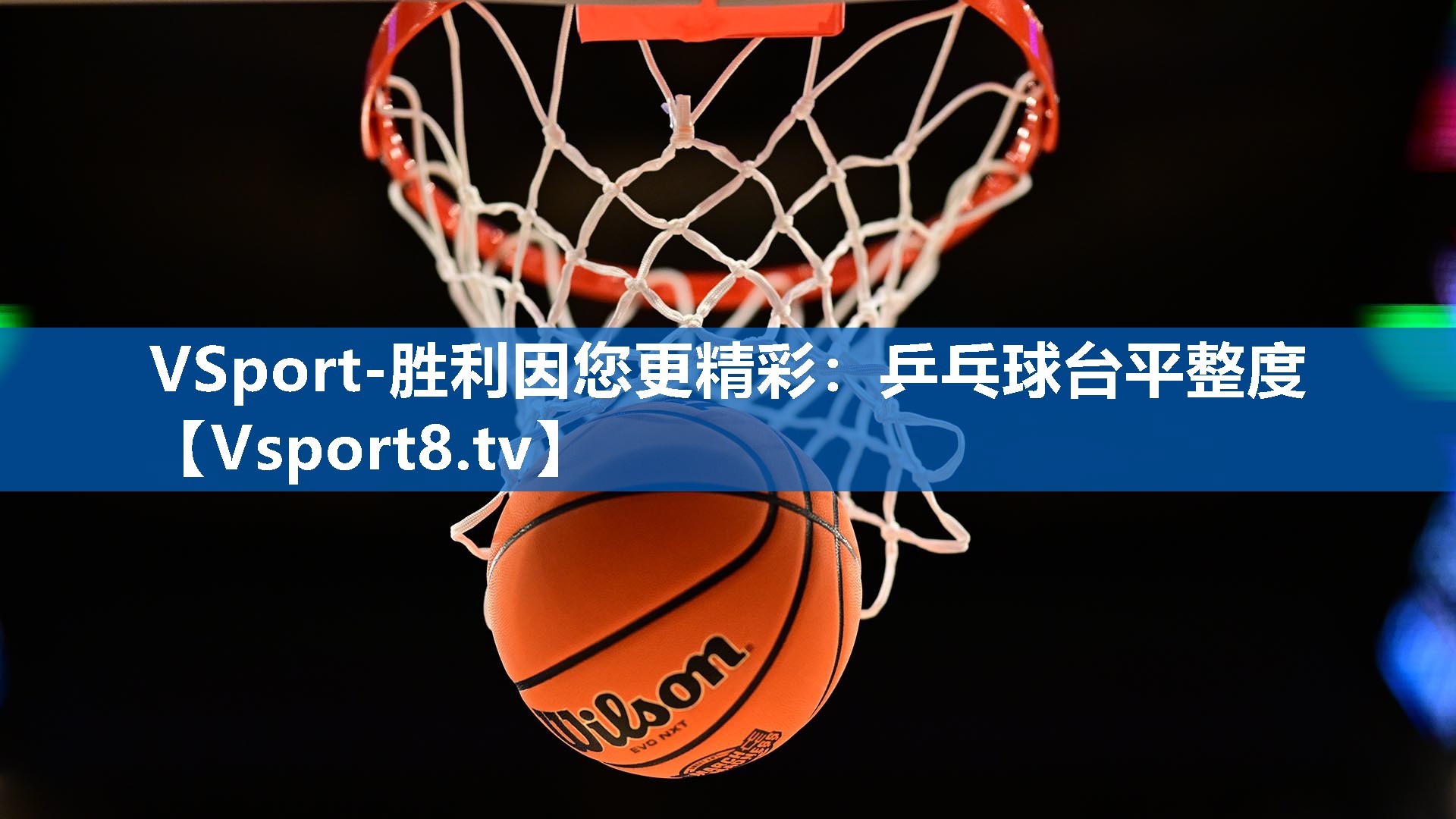 VSport-胜利因您更精彩：乒乓球台平整度