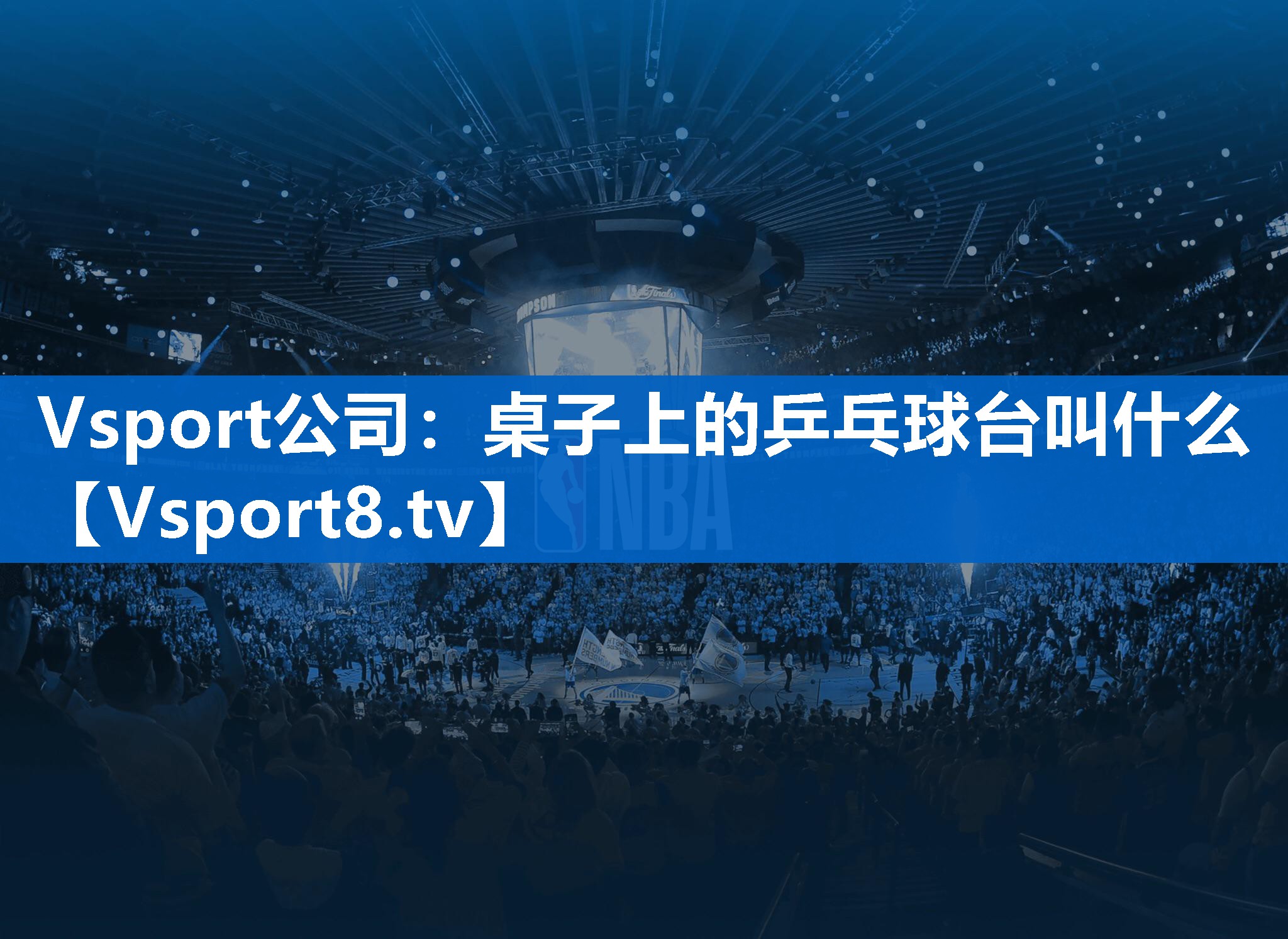 Vsport公司：桌子上的乒乓球台叫什么