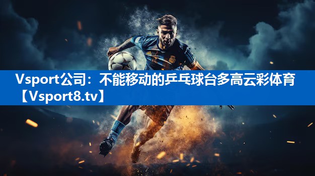 Vsport公司：不能移动的乒乓球台多高云彩体育