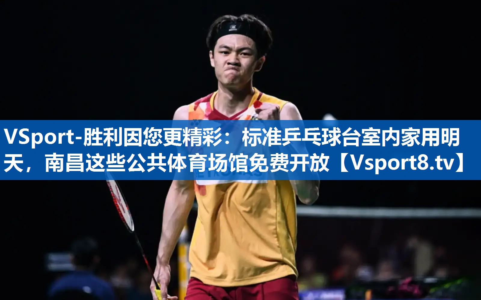 VSport-胜利因您更精彩：标准乒乓球台室内家用明天，南昌这些公共体育场馆免费开放