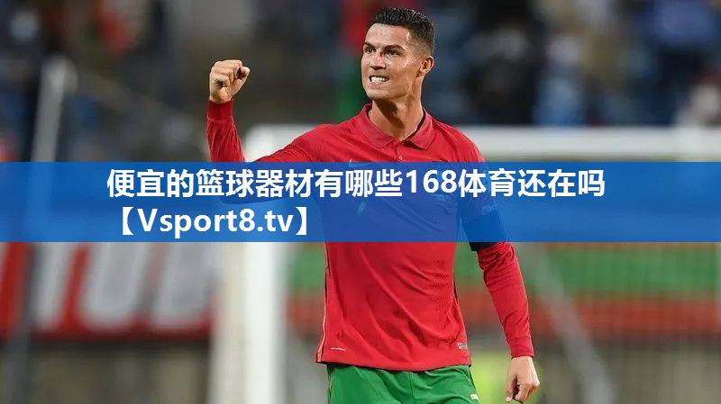 便宜的篮球器材有哪些168体育还在吗