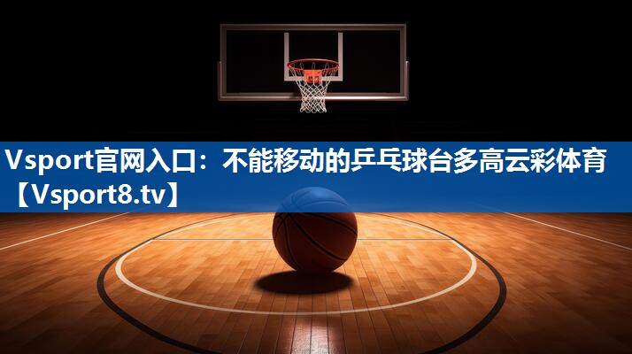 Vsport官网入口：不能移动的乒乓球台多高云彩体育