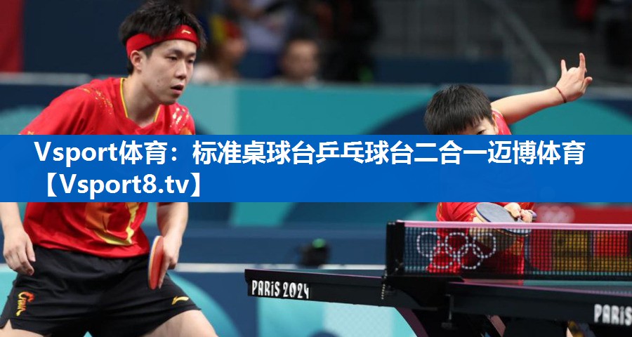 Vsport体育：标准桌球台乒乓球台二合一迈博体育