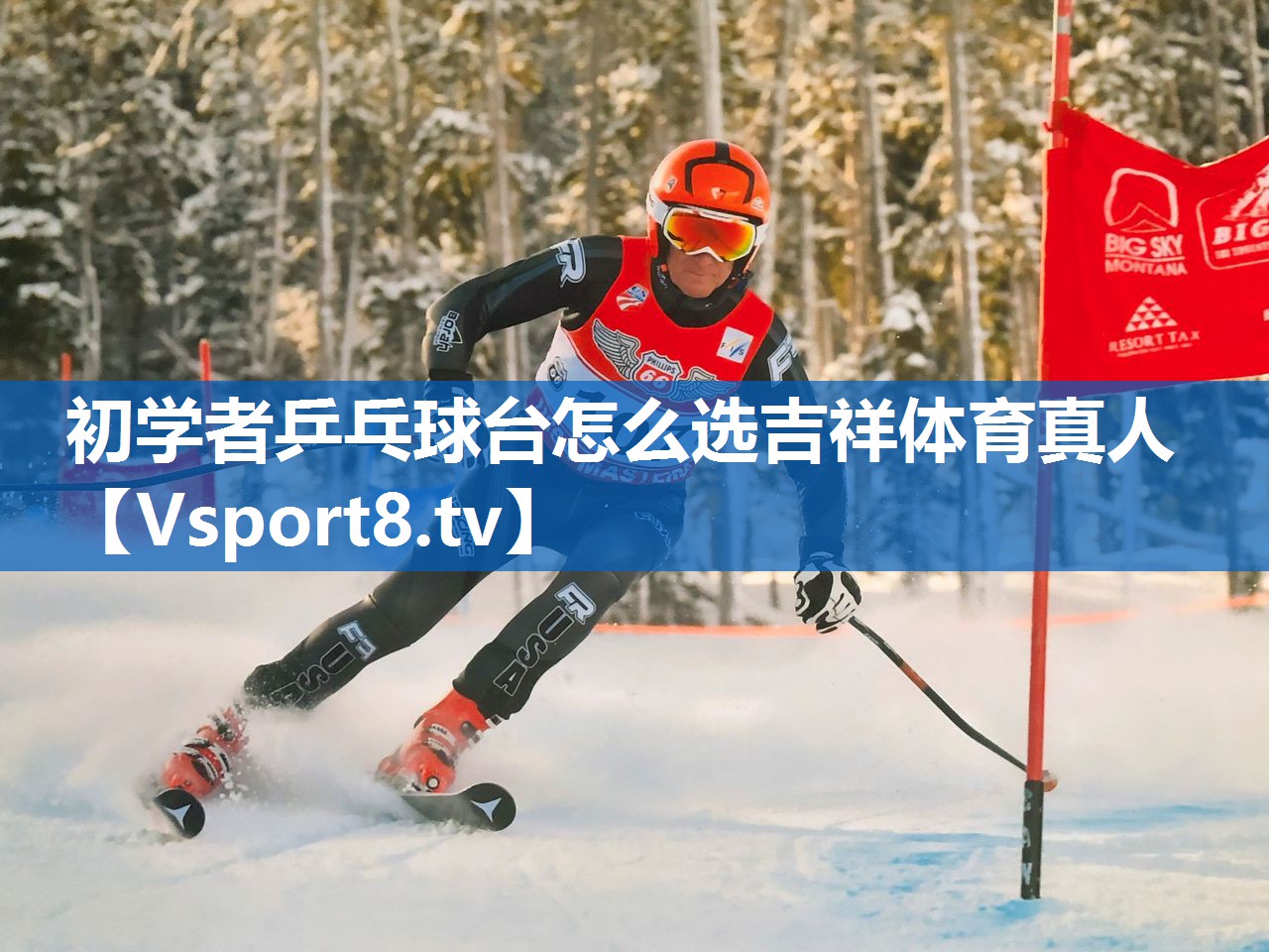 初学者乒乓球台怎么选吉祥体育真人