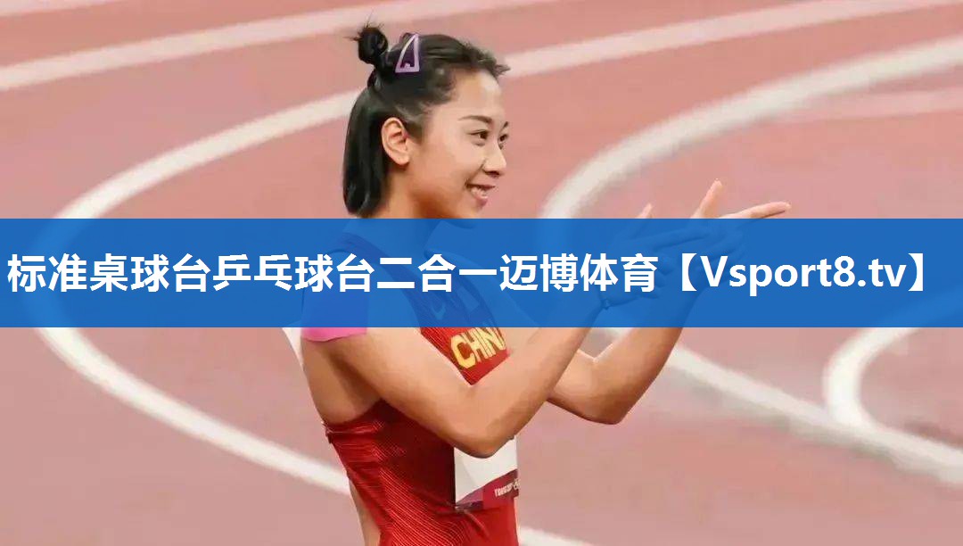 标准桌球台乒乓球台二合一迈博体育