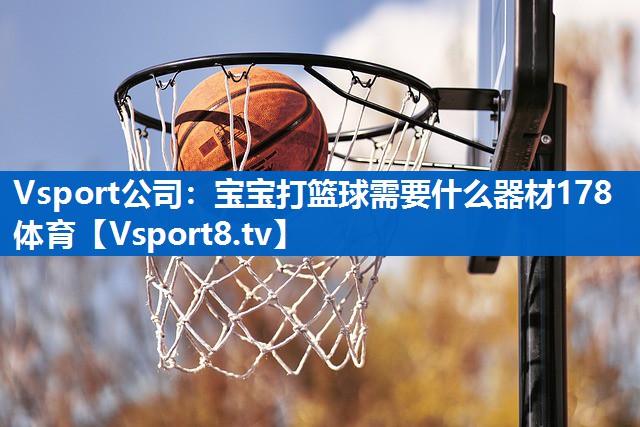 Vsport公司：宝宝打篮球需要什么器材178体育