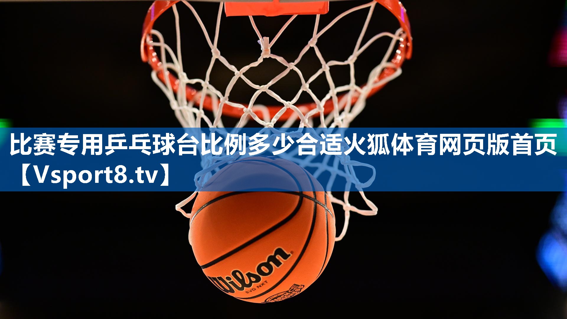 比赛专用乒乓球台比例多少合适火狐体育网页版首页
