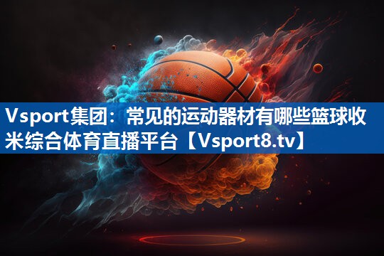 Vsport集团：常见的运动器材有哪些篮球收米综合体育直播平台