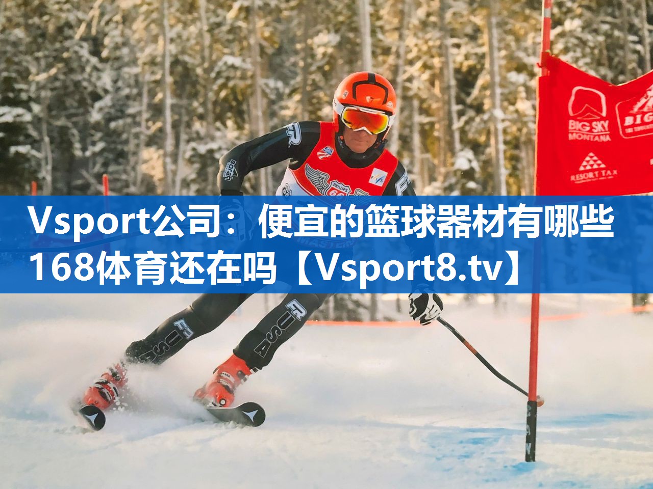 Vsport公司：便宜的篮球器材有哪些168体育还在吗