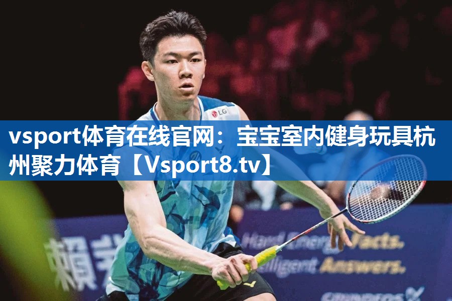 vsport体育在线官网：宝宝室内健身玩具杭州聚力体育