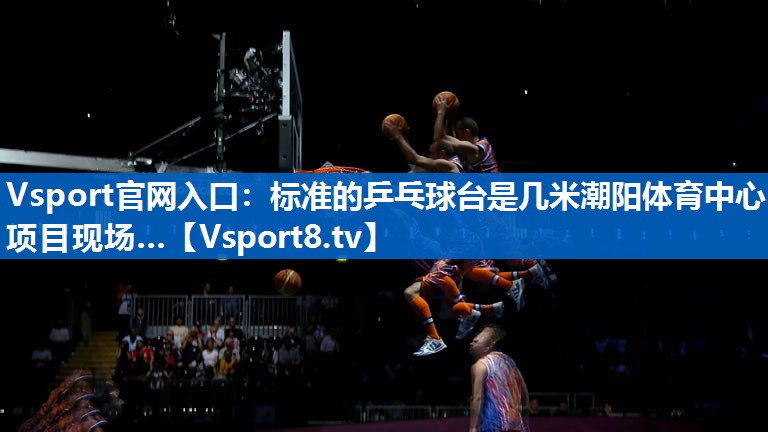 Vsport官网入口：标准的乒乓球台是几米潮阳体育中心项目现场…