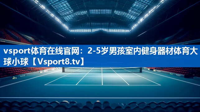 vsport体育在线官网：2-5岁男孩室内健身器材体育大球小球