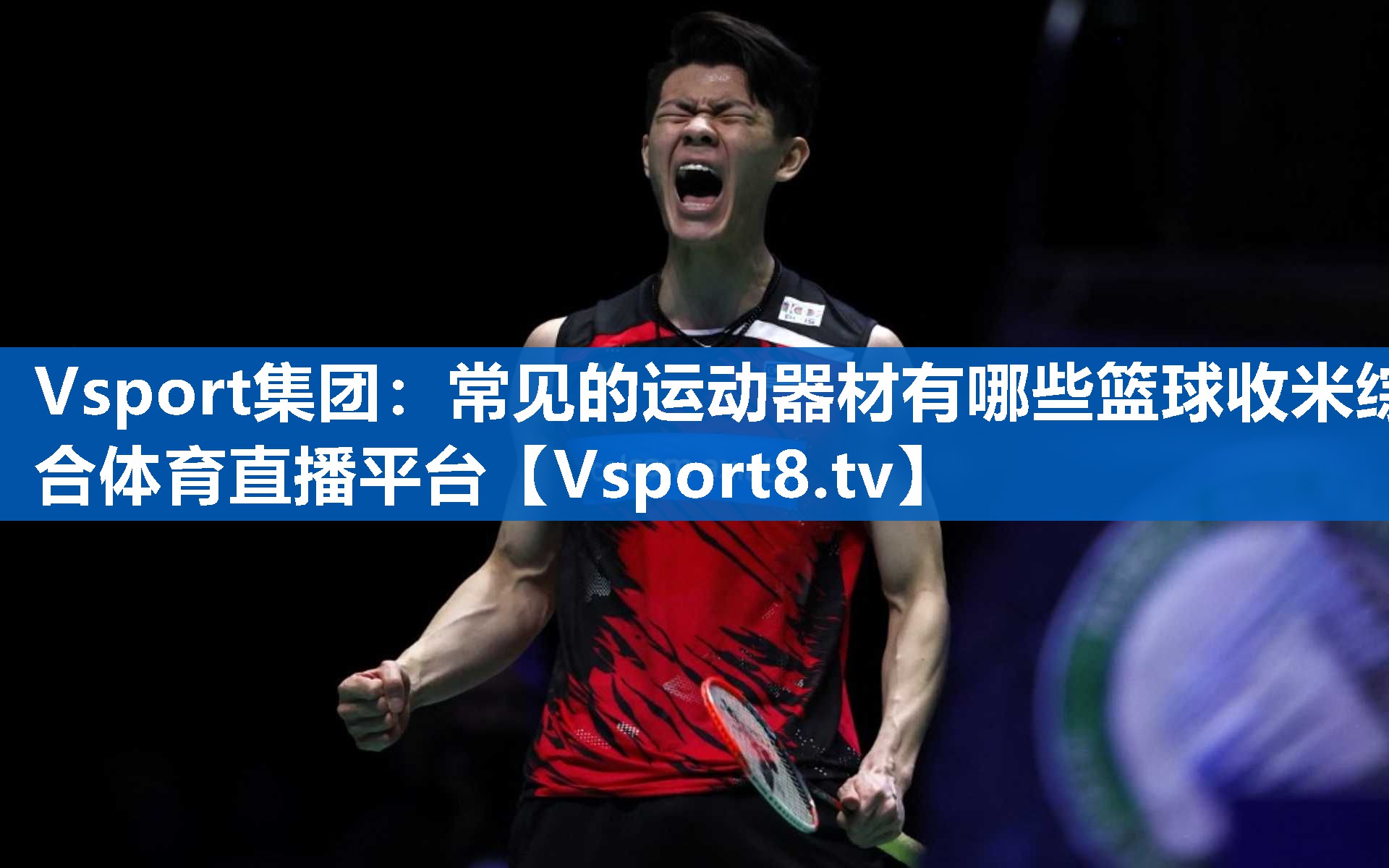 Vsport集团：常见的运动器材有哪些篮球收米综合体育直播平台