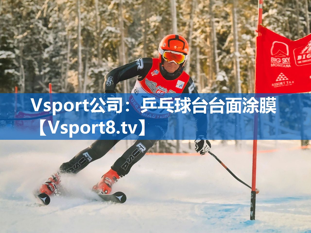 乒乓球台台面涂膜 乒乓球台台面涂膜